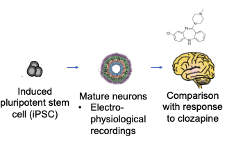 Biological approaches to understand schizophrenia and clinical outcomes