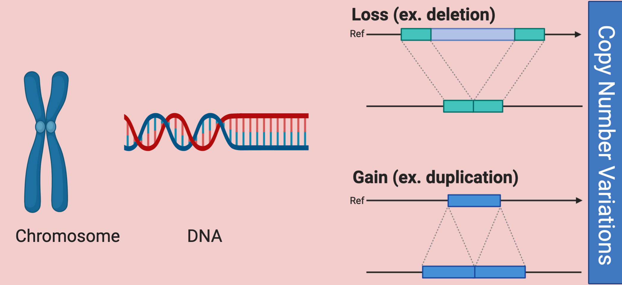 Applying genetic discoveries to psychiatric care