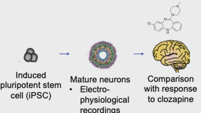 Biological approaches to understand psychosis and clinical outcomes featured image