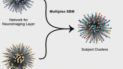 Youth mental health and psychosis risk prediction featured image